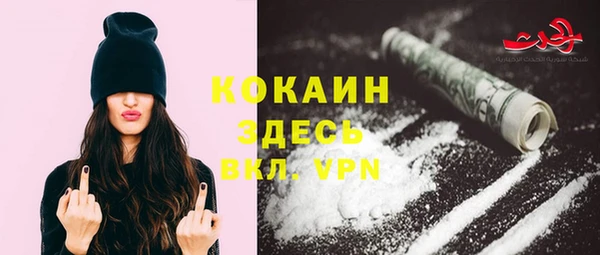 соль ск Лиски
