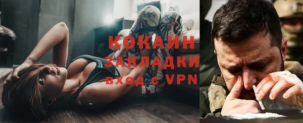 соль ск Лиски