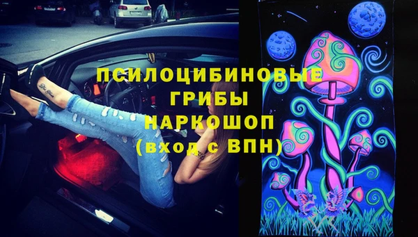 сатива Вязьма