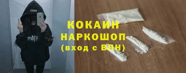 соль ск Лиски