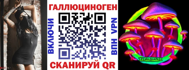 MEGA как войти  Дальнереченск  Псилоцибиновые грибы GOLDEN TEACHER 