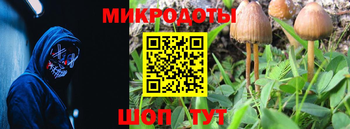 Галлюциногенные грибы GOLDEN TEACHER  Галлюциногенные грибы MAGIC MUSHROOMS  Дальнереченск  Вход с VPN 